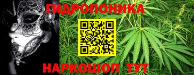 амф Лесной