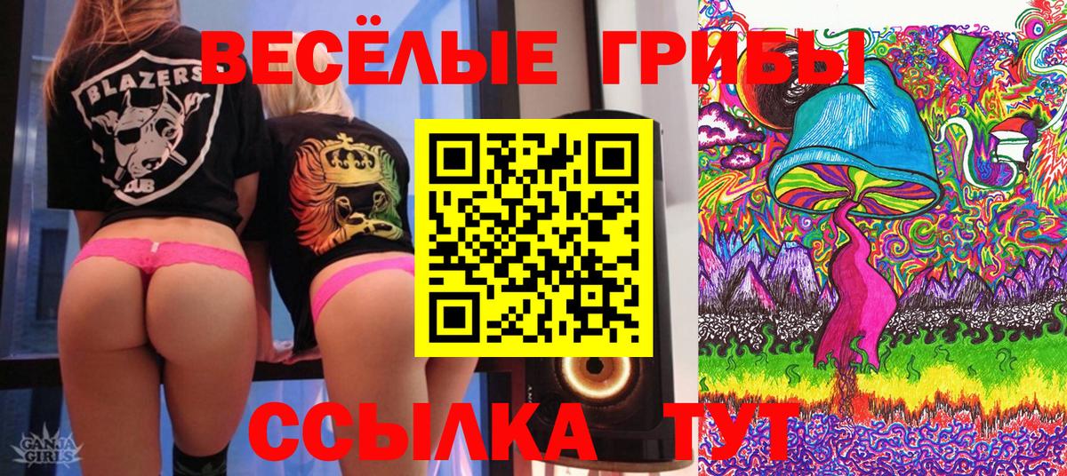 Галлюциногенные грибы MAGIC MUSHROOMS  Вход с VPN  Невинномысск 