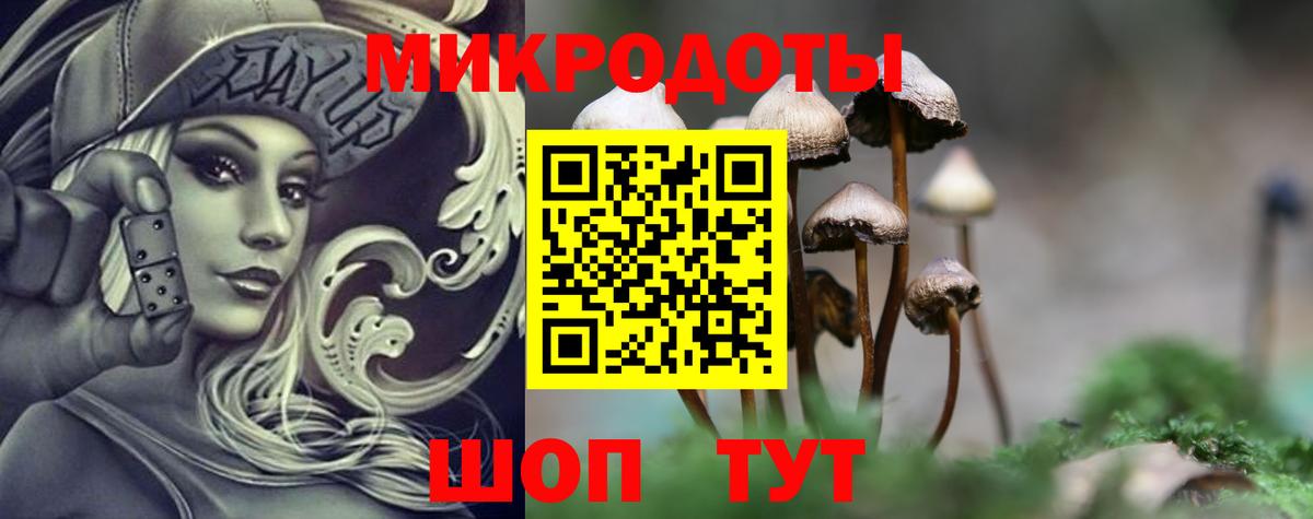 Галлюциногенные грибы MAGIC MUSHROOMS  Невинномысск  Псилоцибиновые грибы Magic Shrooms 